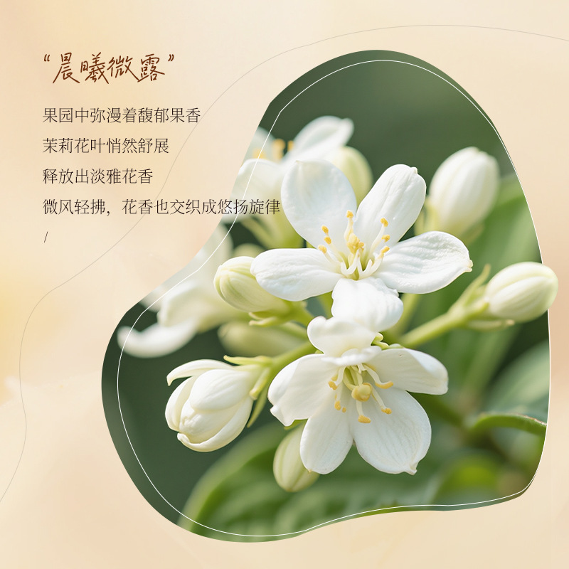 Kakao kokulu parfüm amino asit - Fragrance Perfume For Hair incelemesi ve fiyatı