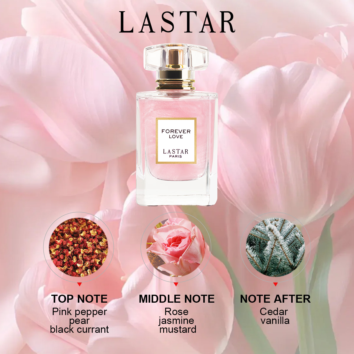 Yılbaşı/Kadınlar Günü Hediyele - Perfume New Fragrance incelemesi ve fiyatı