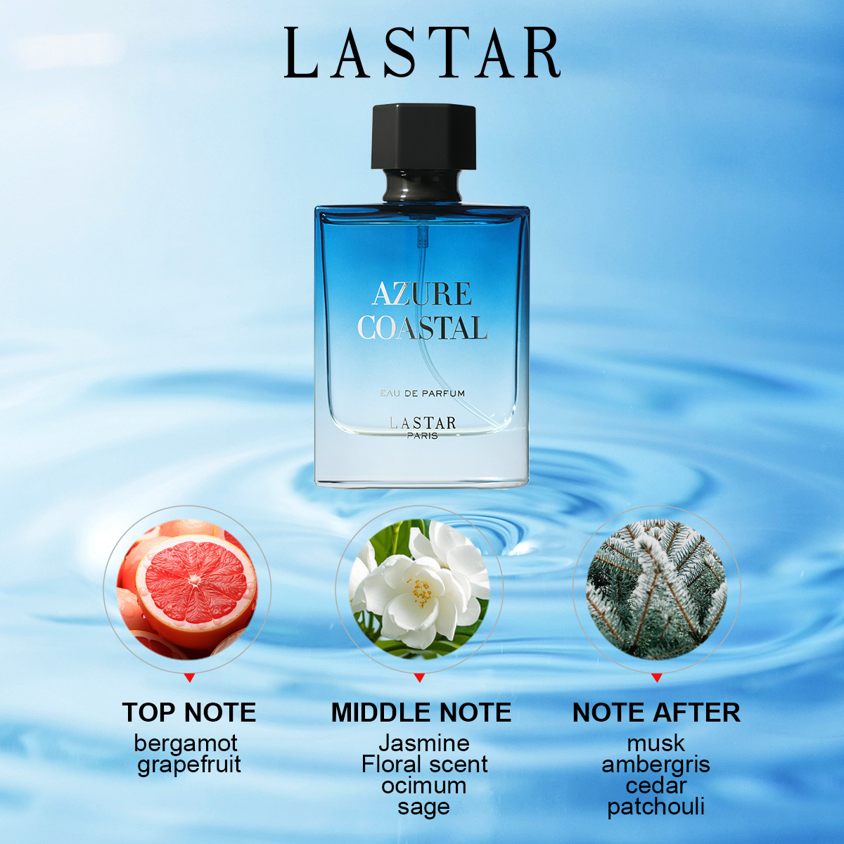 LASTAR Erkek Parfümü, Toplam 1 - Perfume New Fragrance incelemesi ve fiyatı